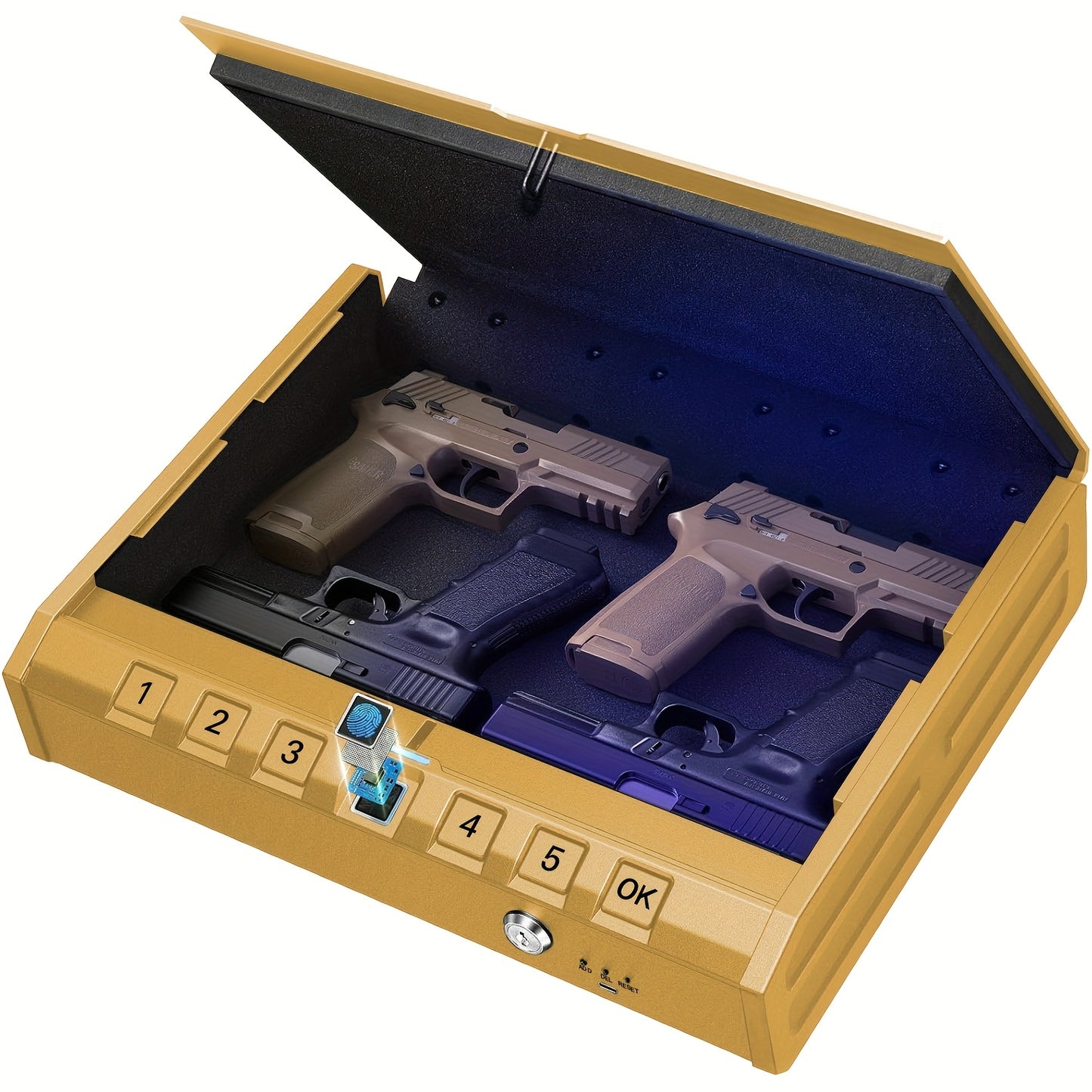 Gun Lock Box